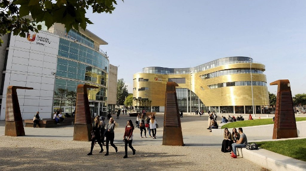 阿米提大学新加坡分校国际学生比例高吗?全方位解析国际化学习环境