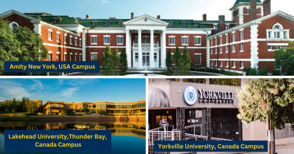 阿米提大学新加坡分校面试要求|如何在考官面前脱颖而出