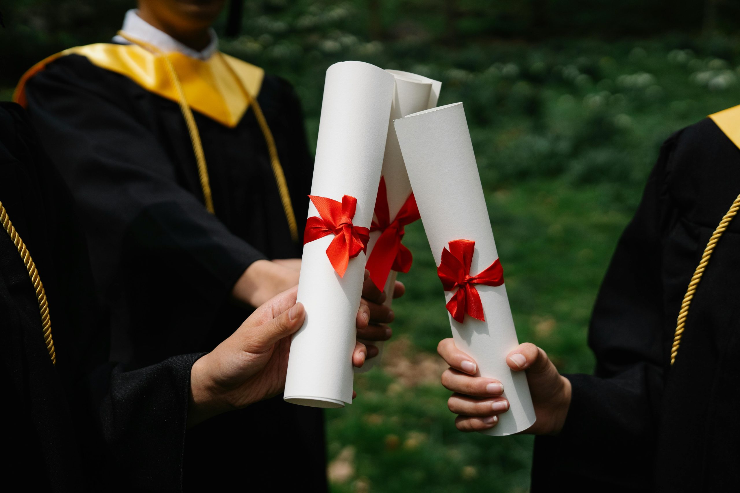 阿米提大学新加坡分校 商科课程方向