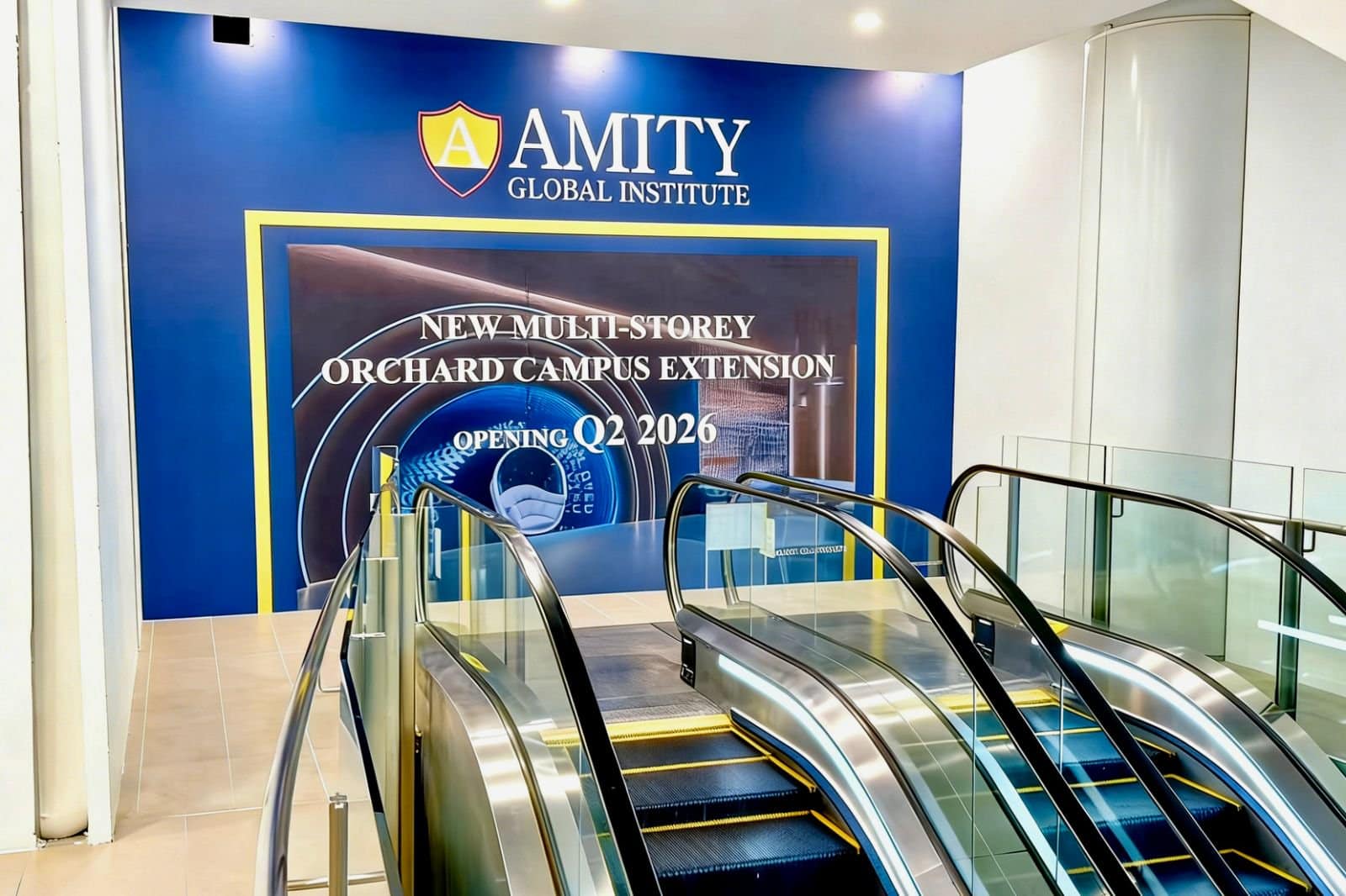 Amity 本科申请学生规划